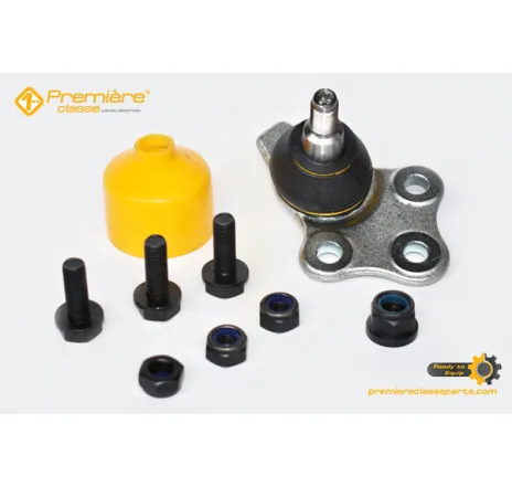 Pivot suspensie Duster