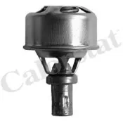 termostat,lichid racire