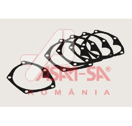 Garnitura, pompa de apa