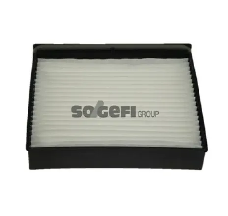 Filtru, aer habitaclu AH234 PURFLUX