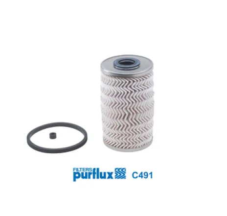 Filtru combustibil C491 PURFLUX