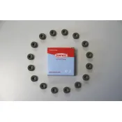 Set garnituri, ax supape 19036100 CORTECO