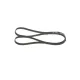 Curea transmisie cu caneluri 1 987 946 035 BOSCH