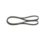 Curea transmisie cu caneluri 1 987 946 057 BOSCH