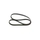 Curea transmisie cu caneluri 1 987 946 063 BOSCH