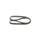Curea transmisie cu caneluri 1 987 946 240 BOSCH