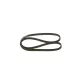 Curea transmisie cu caneluri 1 987 947 926 BOSCH