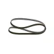 Curea transmisie cu caneluri 1 987 947 948 BOSCH