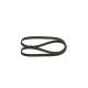 Curea transmisie cu caneluri 1 987 947 972 BOSCH