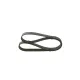 Curea transmisie cu caneluri 1 987 948 321 BOSCH