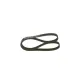 Curea transmisie cu caneluri 1 987 948 452 BOSCH