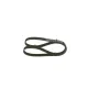 Curea transmisie cu caneluri 1 987 948 452 BOSCH