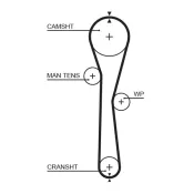 Curea de distributie 5577XS GATES
