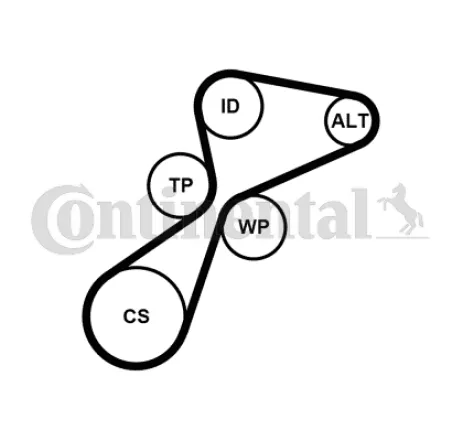 Set curea transmisie cu caneluri 5PK1105K1 CONTINENTAL CTAM
