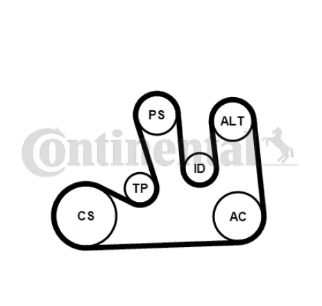 Set curea transmisie cu caneluri 5PK1750K1 CONTINENTAL CTAM