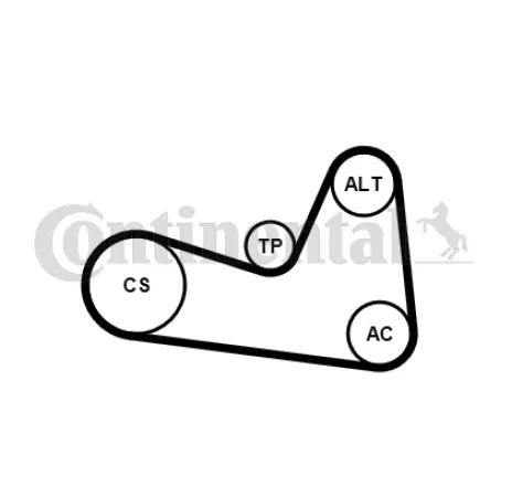 Set curea transmisie cu caneluri 6PK1200K1 CONTINENTAL CTAM