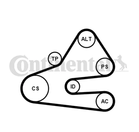 Set curea transmisie cu caneluri 6PK1613K1 CONTINENTAL CTAM