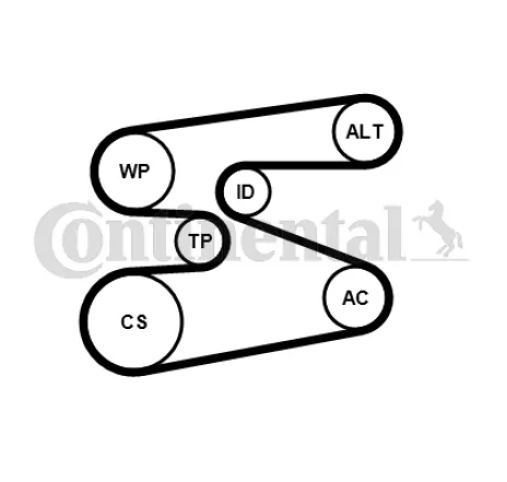Set curea transmisie cu caneluri 6PK1698K1 CONTINENTAL CTAM