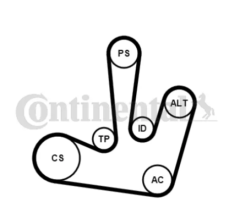 Set curea transmisie cu caneluri 6PK1795K1 CONTINENTAL CTAM