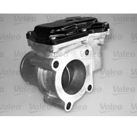 Carcasa clapeta 700431 VALEO