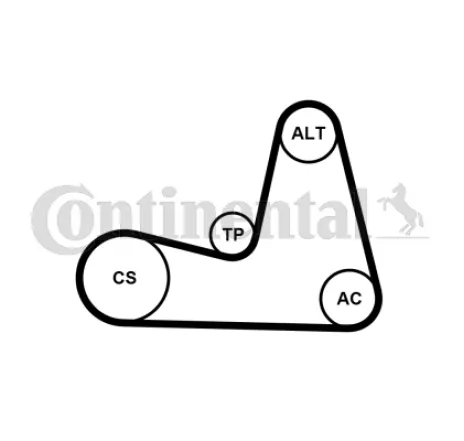 Set curea transmisie cu caneluri 7PK1035K1 CONTINENTAL CTAM