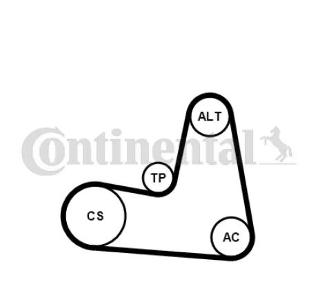 Set curea transmisie cu caneluri 7PK1125K1 CONTINENTAL CTAM