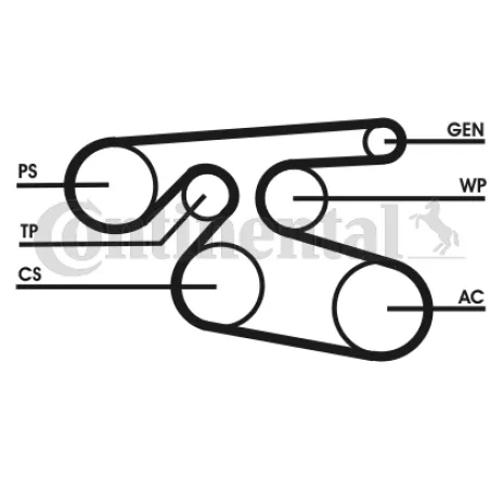 Curea transmisie cu caneluri 7PK2000 CONTINENTAL CTAM