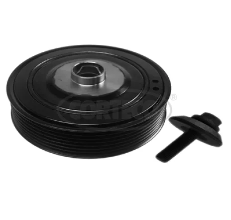 Set fulie, arbore cotit 80004348 CORTECO