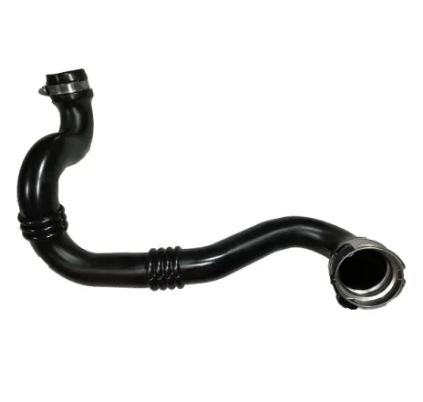 Furtun ear supraalimentare 81803 BUGIAD