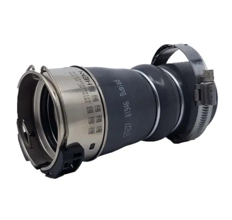 Furtun ear supraalimentare 81946 BUGIAD