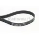 Curea transmisie cu caneluri 5PK1515 CONTINENTAL CTAM