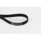 Curea transmisie cu caneluri 6PK1125 CONTINENTAL CTAM