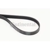 Curea transmisie cu caneluri 6PK1173 CONTINENTAL CTAM