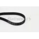 Curea transmisie cu caneluri 6PK1605 CONTINENTAL CTAM