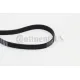 Curea transmisie cu caneluri 6PK1660 CONTINENTAL CTAM