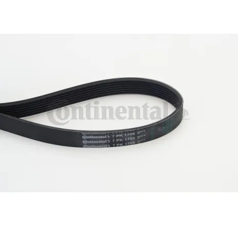 Curea transmisie cu caneluri 7PK1705 CONTINENTAL CTAM