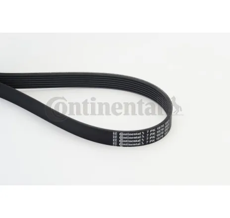 Curea transmisie cu caneluri 7PK1970 CONTINENTAL CTAM