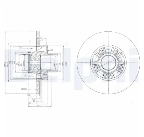 Disc frana BG9031RS DELPHI