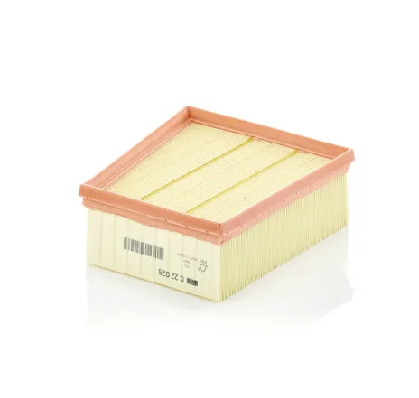 Filtru aer C 22 026 MANN-FILTER