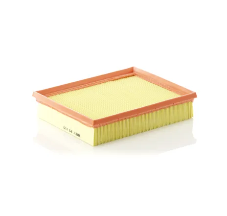 Filtru aer C 25 015 MANN-FILTER