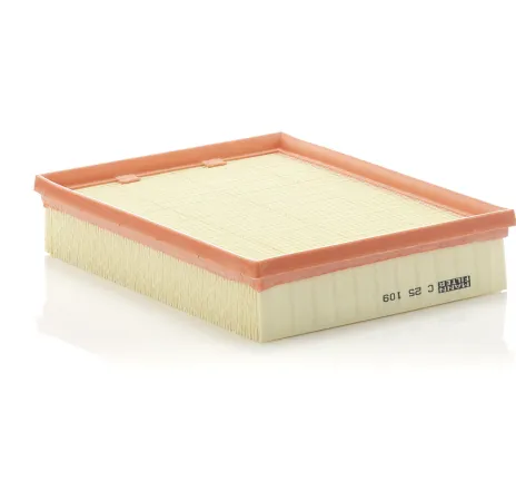 Filtru aer C 25 109 MANN-FILTER