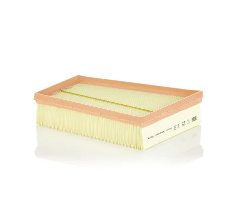 Filtru aer C 25 115 MANN-FILTER