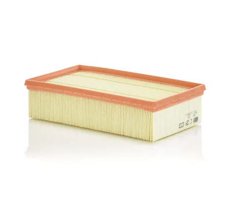 Filtru aer C 29 033 MANN-FILTER
