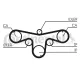 Curea de distributie CT1079 CONTINENTAL CTAM