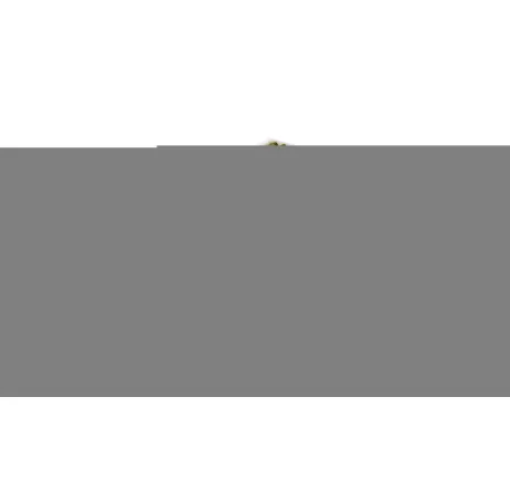 Filtru, aer habitaclu FP 26 005 MANN-FILTER