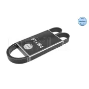 Curea transmisie cu caneluri 050 006 1200 MEYLE