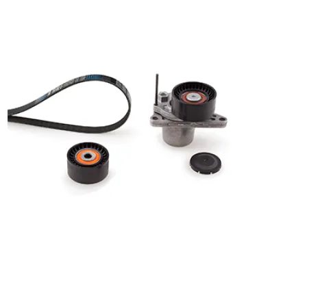 Set curea transmisie cu caneluri K017PK1675 GATES