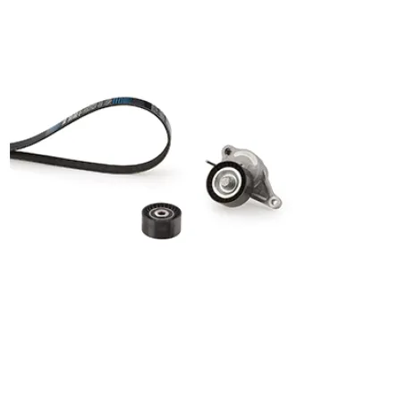 Set curea transmisie cu caneluri K027PK1675 GATES