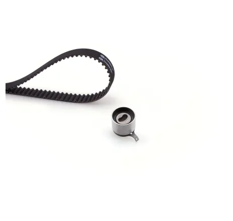 Set curea de distributie K025535XS GATES