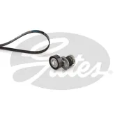 Set curea transmisie cu caneluri K036PK1070 GATES